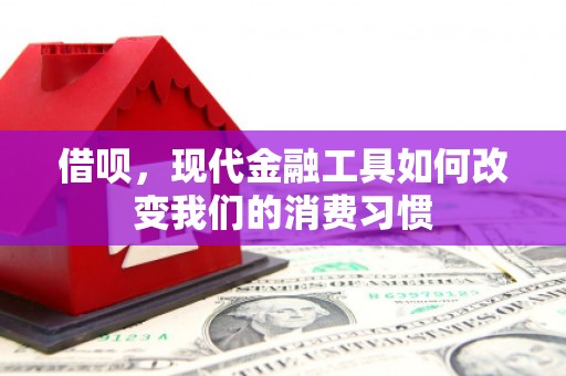 阿合奇借呗，现代金融工具如何改变我们的消费习惯