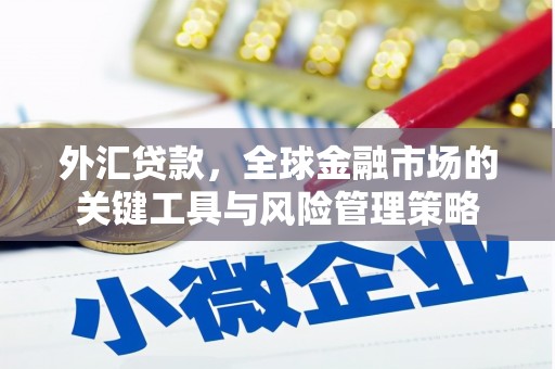 阿合奇外汇贷款，全球金融市场的关键工具与风险管理策略