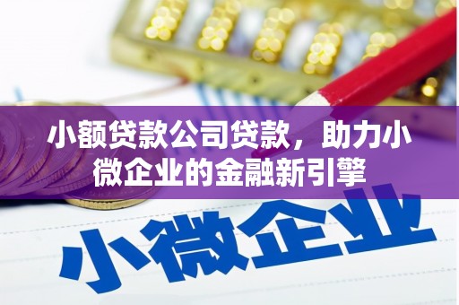阿合奇小额贷款公司贷款，助力小微企业的金融新引擎