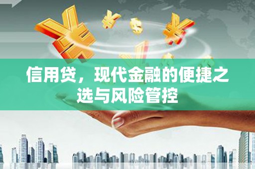 阿合奇信用贷，现代金融的便捷之选与风险管控