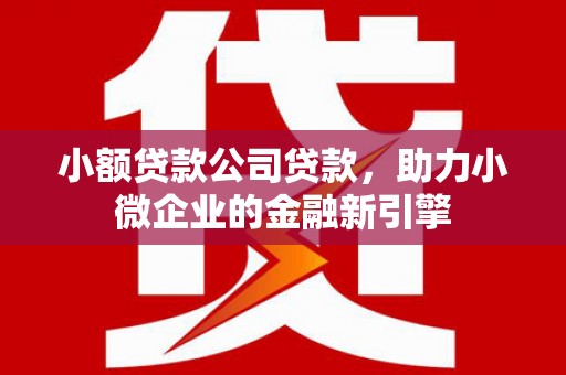 阿合奇小额贷款公司贷款，助力小微企业的金融新引擎