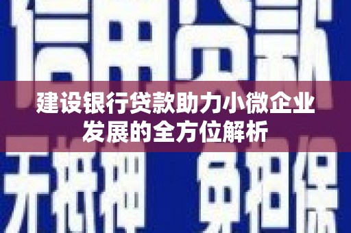 阿合奇建设银行贷款助力小微企业发展的全方位解析