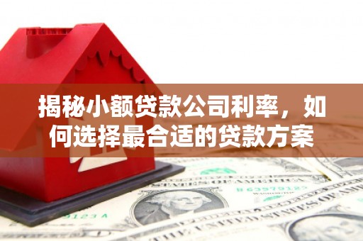 阿合奇揭秘小额贷款公司利率，如何选择最合适的贷款方案