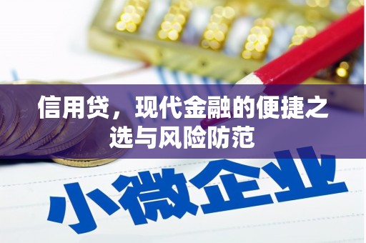 阿合奇信用贷，现代金融的便捷之选与风险防范