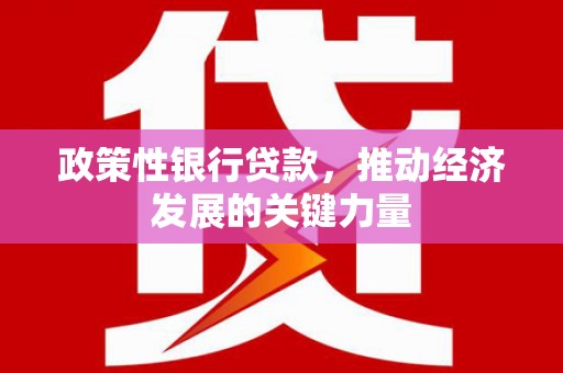 阿合奇政策性银行贷款，推动经济发展的关键力量