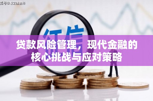 阿合奇贷款风险管理，现代金融的核心挑战与应对策略