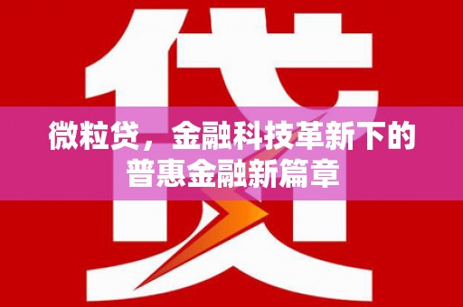 阿合奇微粒贷，金融科技革新下的普惠金融新篇章