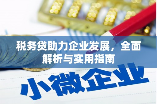 阿合奇税务贷助力企业发展，全面解析与实用指南