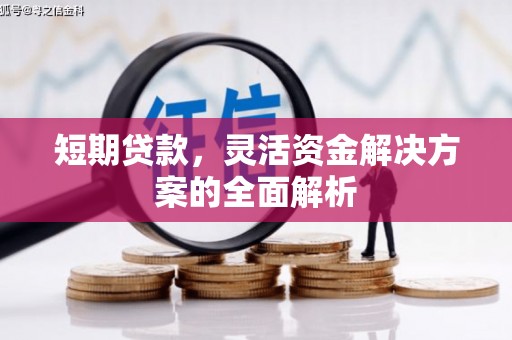 阿合奇短期贷款，灵活资金解决方案的全面解析