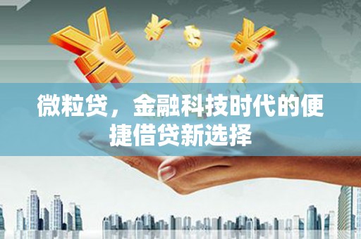 阿合奇微粒贷，金融科技时代的便捷借贷新选择