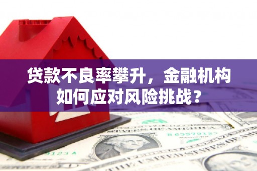 阿合奇贷款不良率攀升，金融机构如何应对风险挑战？