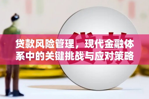 阿合奇贷款风险管理，现代金融体系中的关键挑战与应对策略