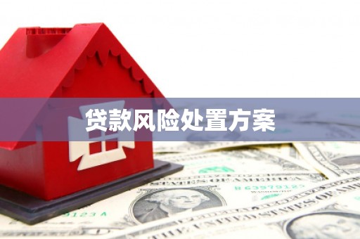 阿合奇贷款风险处置方案