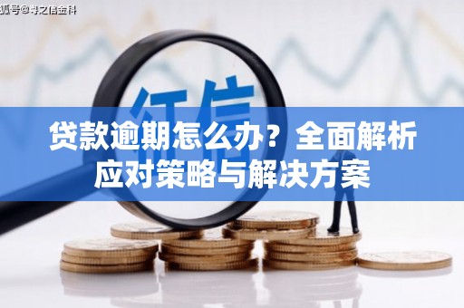 阿合奇贷款逾期怎么办？全面解析应对策略与解决方案