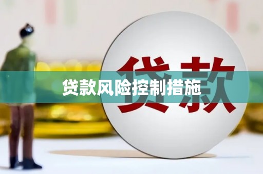 阿合奇贷款风险控制措施