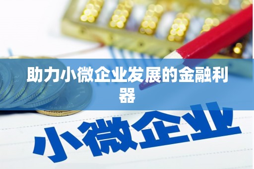 阿合奇助力小微企业发展的金融利器