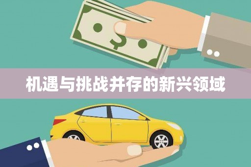 阿合奇机遇与挑战并存的新兴领域