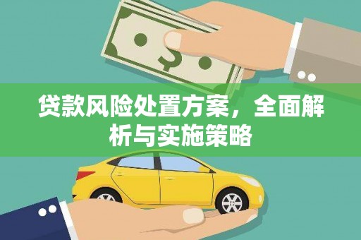 阿合奇贷款风险处置方案，全面解析与实施策略