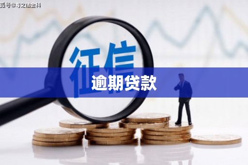 阿合奇逾期贷款