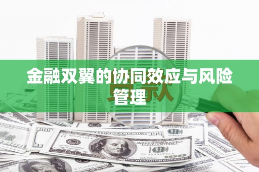 阿合奇金融双翼的协同效应与风险管理